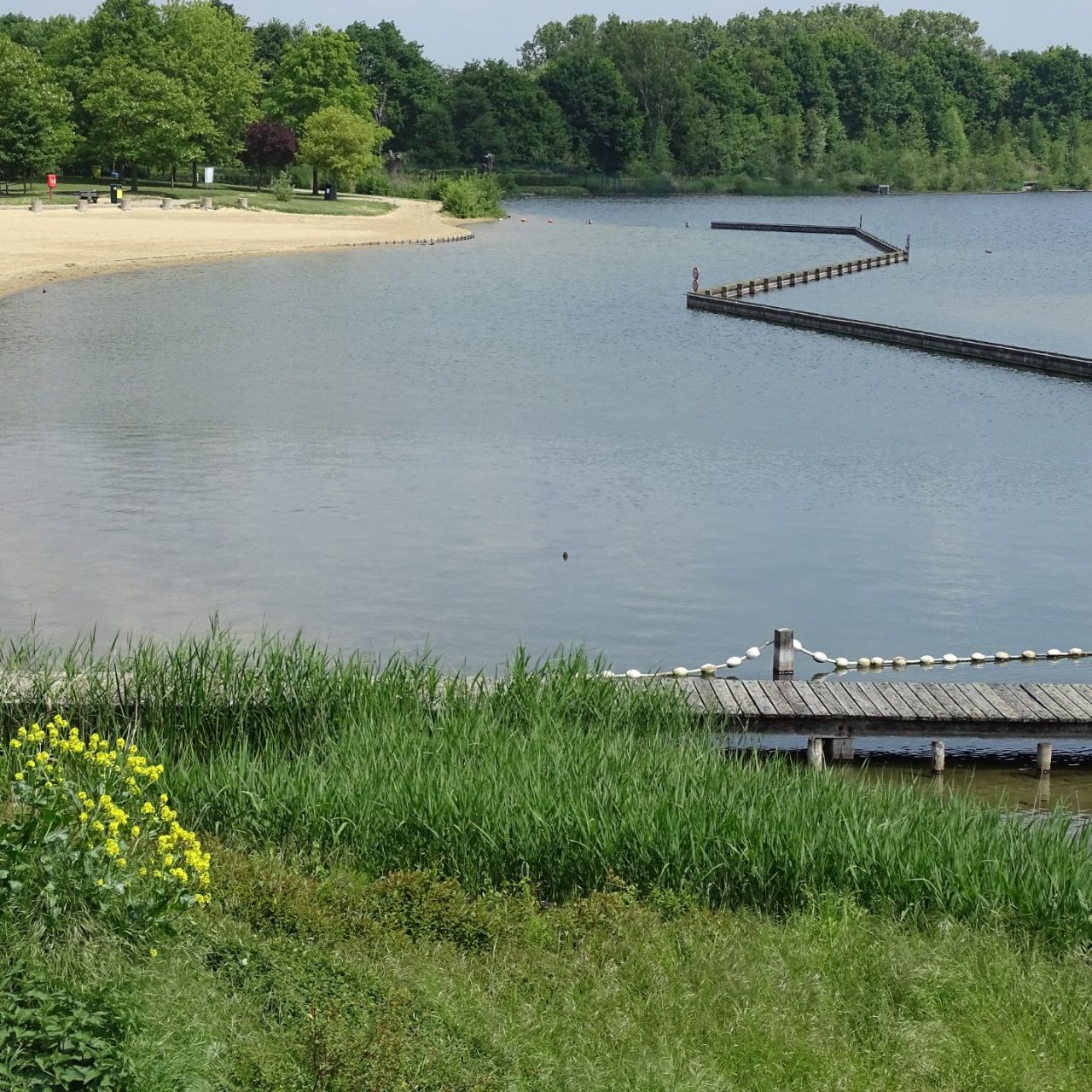 Grote zwemvijver