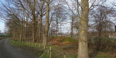 				Populieren aan de randweg naar de duikersparking 	