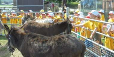 Themakampen boerderij