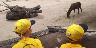 Themakampen op uitstap