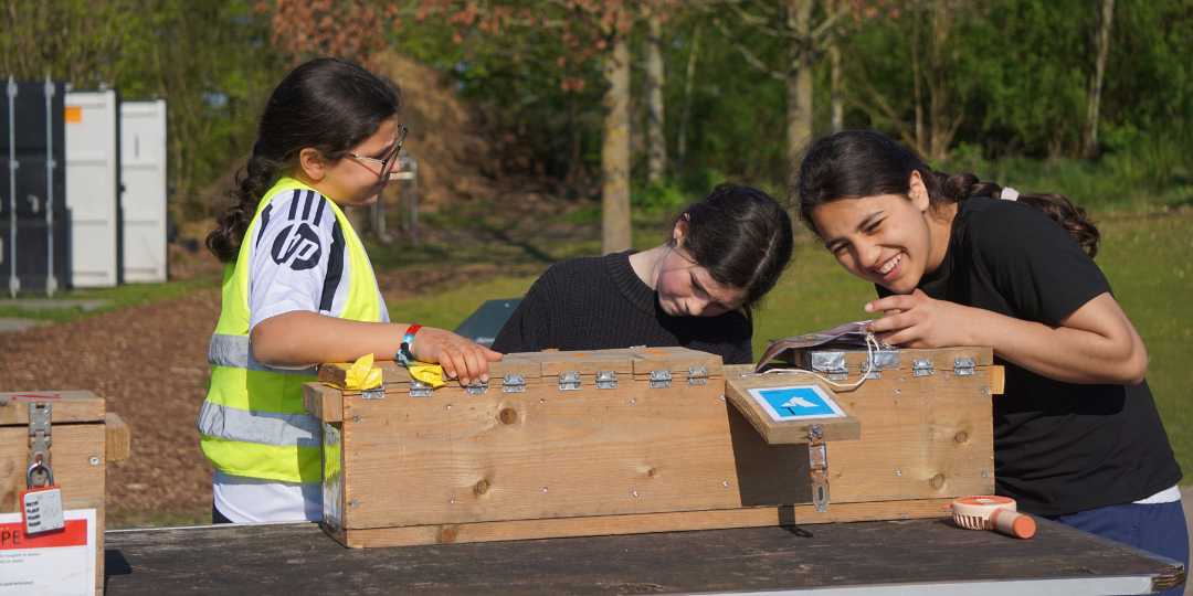 WEB_afbeeldingen - 1