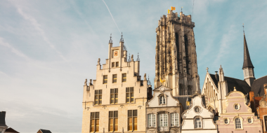 WEB_afbeeldingen - Themakamp_krokus