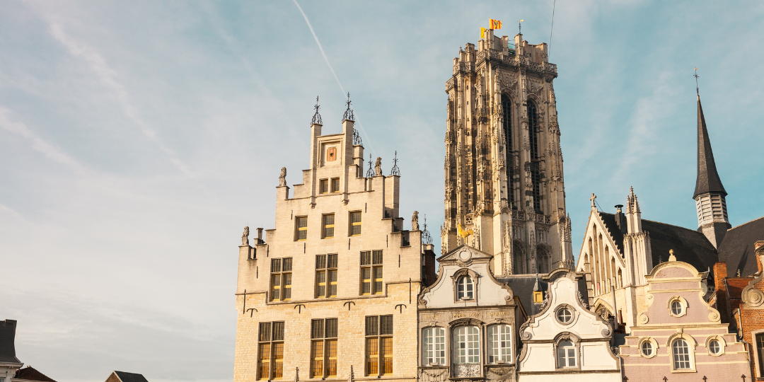 WEB_afbeeldingen - Themakamp_krokus